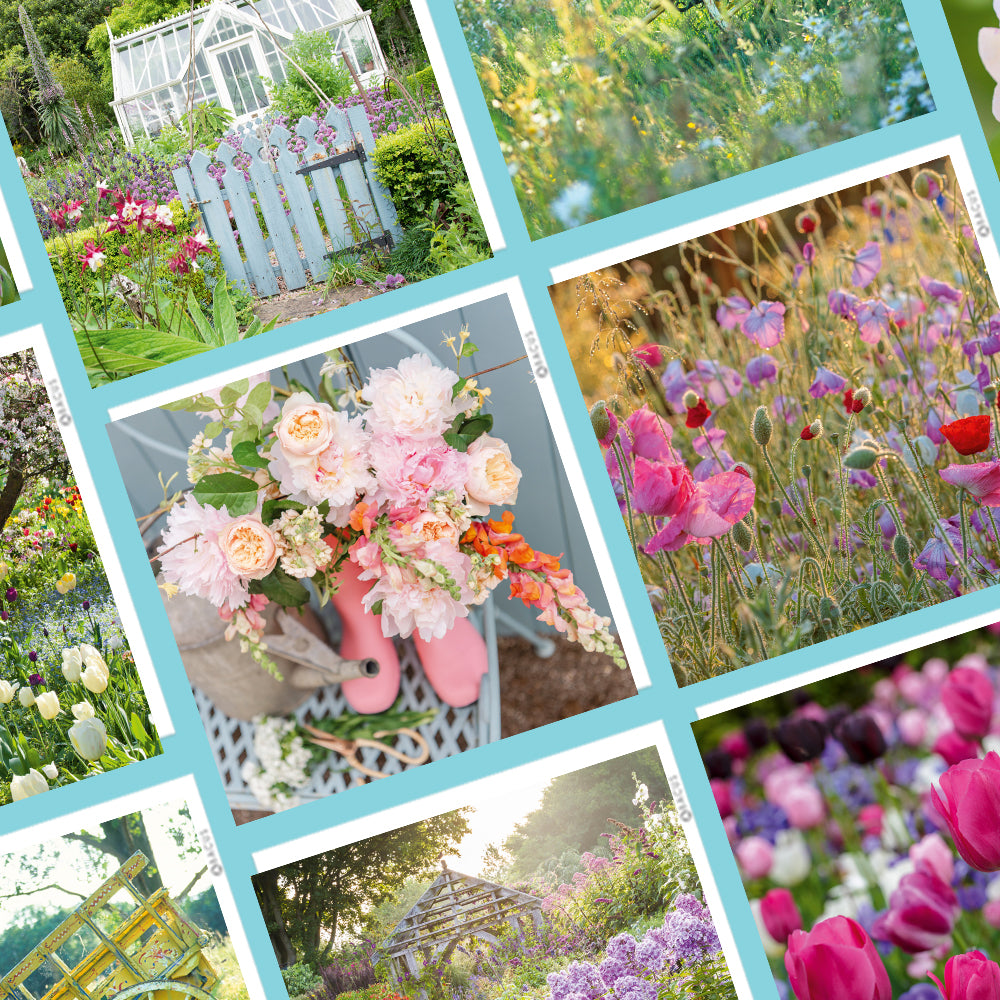 BBC Gardeners World