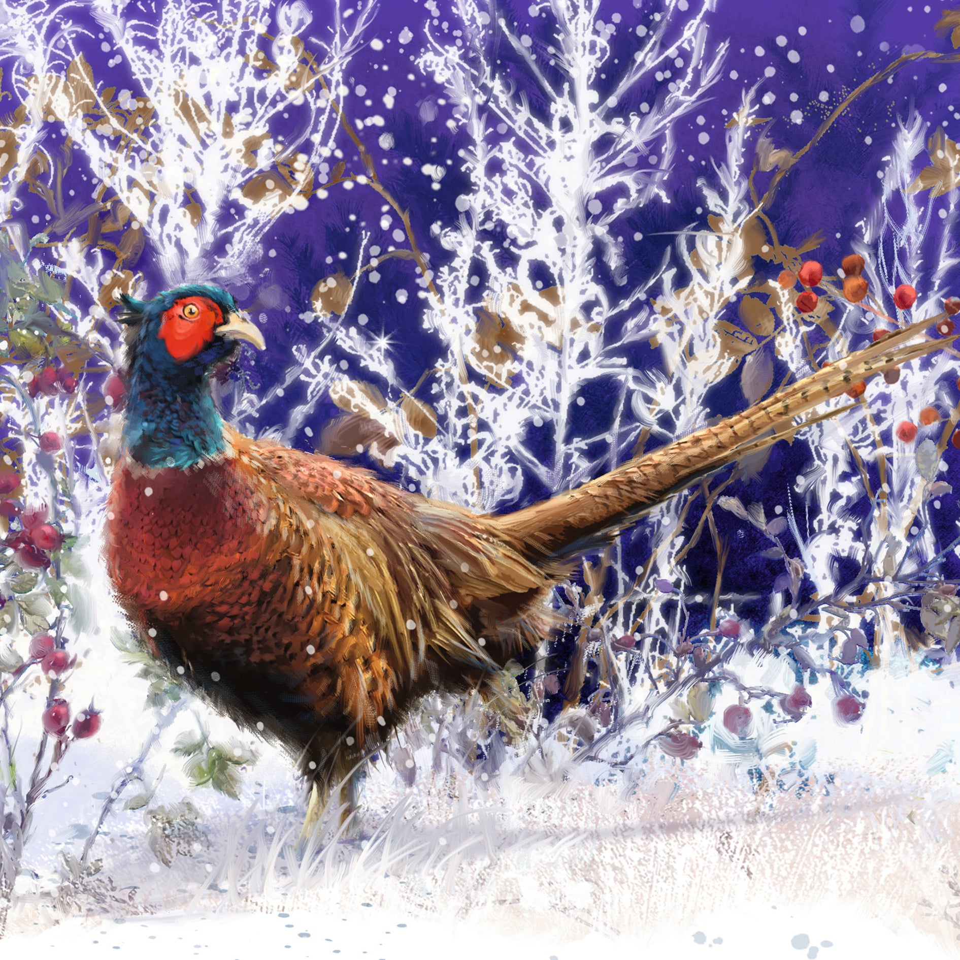 Woodland Wildlife Bumper Box
