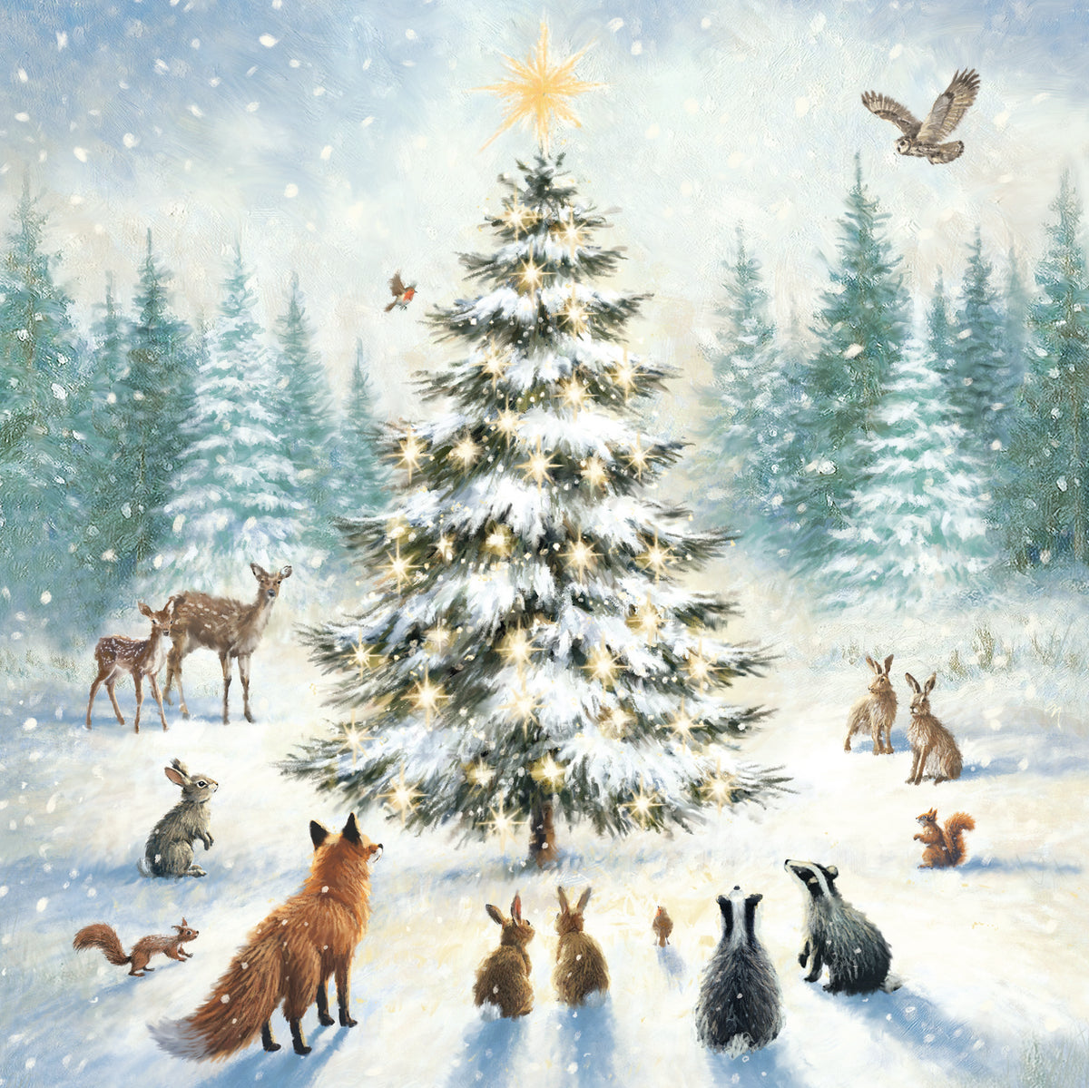 Festive Dogs | 12 Christmas Cards, 2 Designs