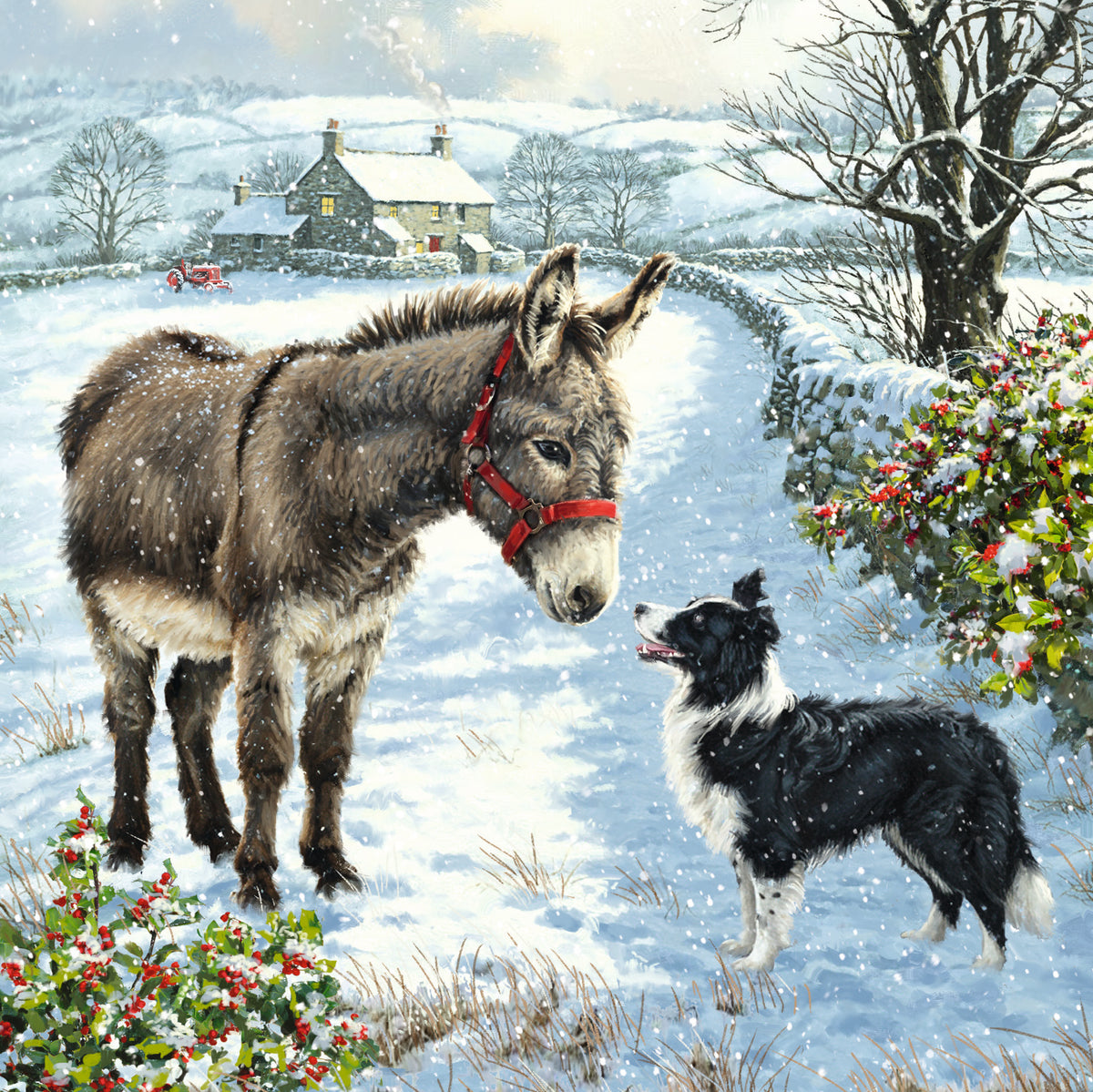 Festive Animals | 12 Christmas Cards, 2 Designs