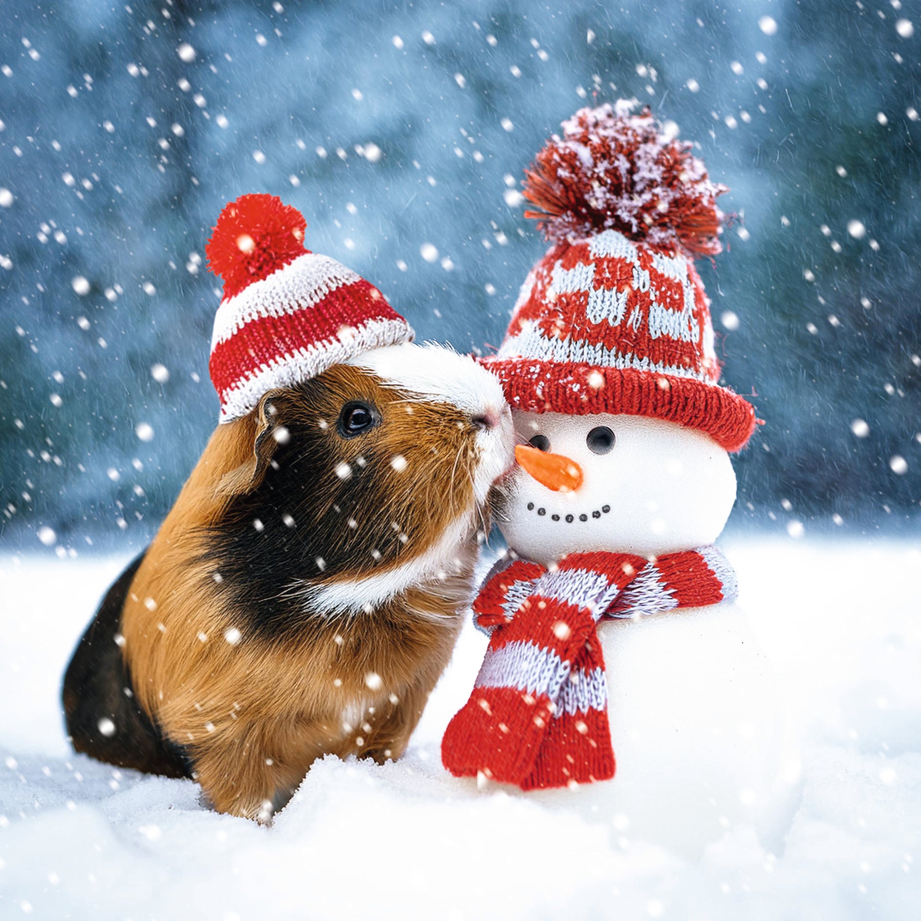 Fun Festive Animals Bumper Box