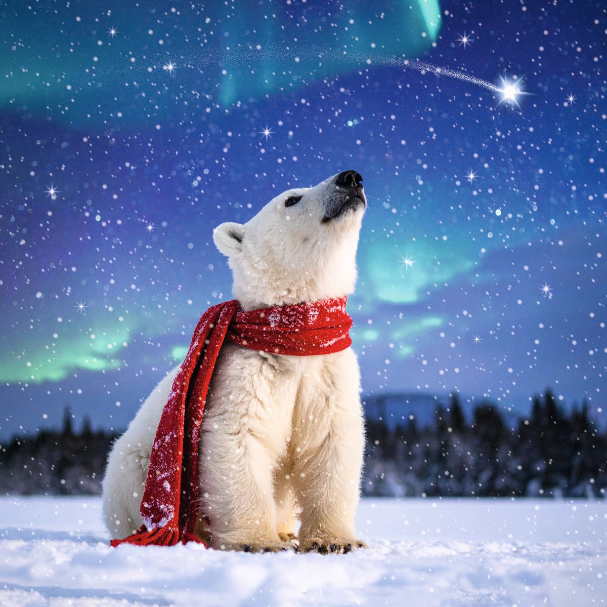 Polar Animals - 24 Christmas Cards, 3 Designs