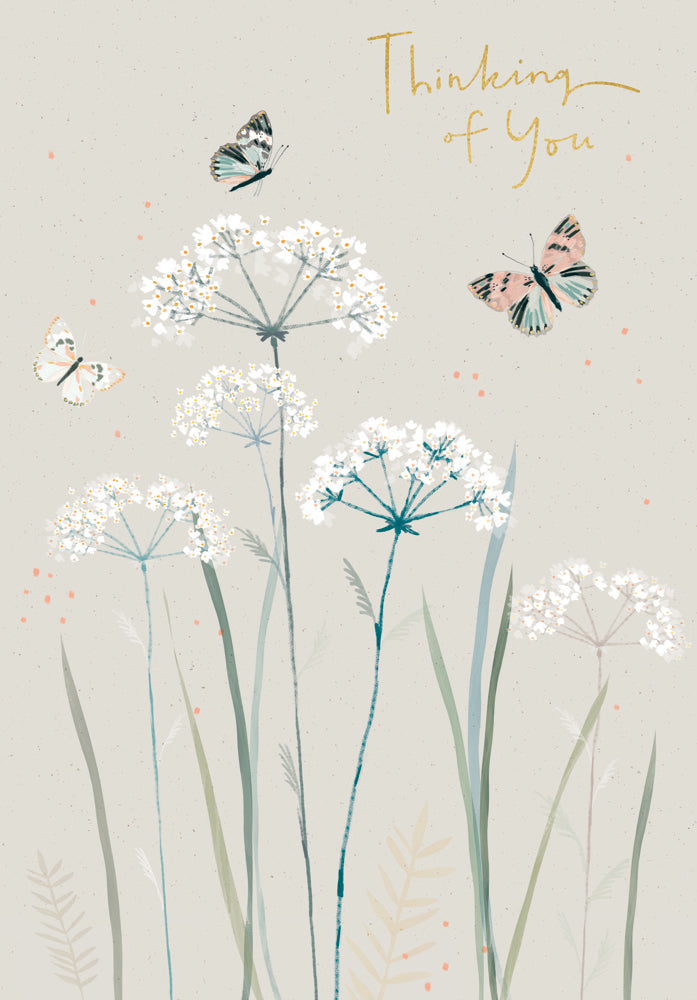 Thinking of You Card | Thinking of You - Cow Parsley & Butterflies