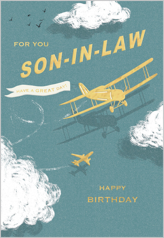 Son-in-Law Plane