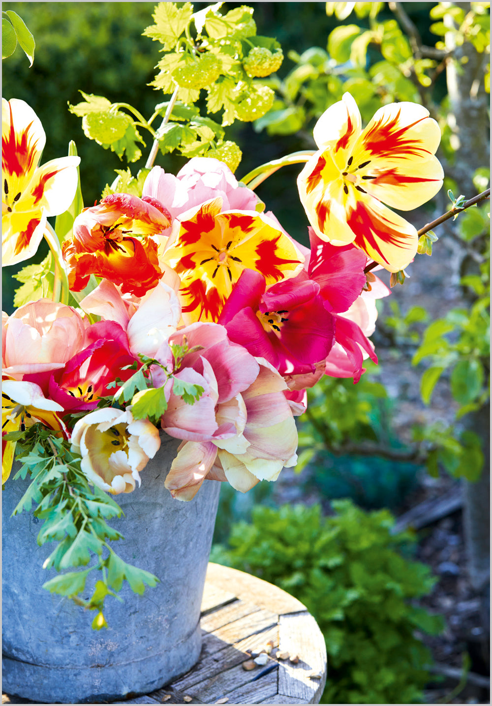 Tulips in Galvanised Bucket