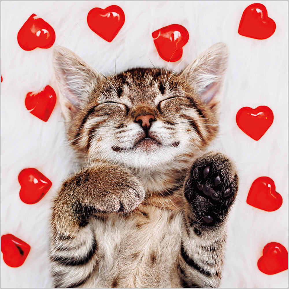 Cat Hearts