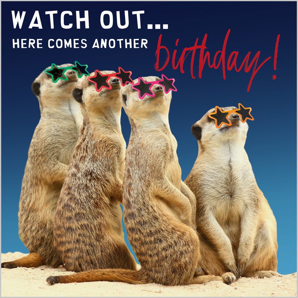 Here Comes Another Birthday