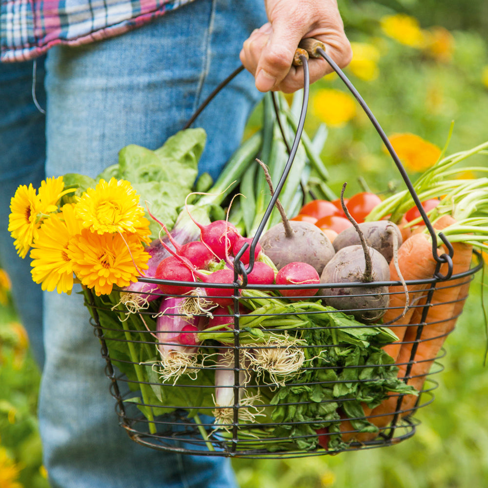 Garden Harvest