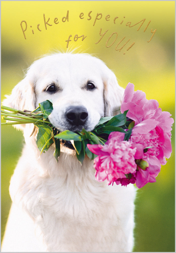 Especially for you