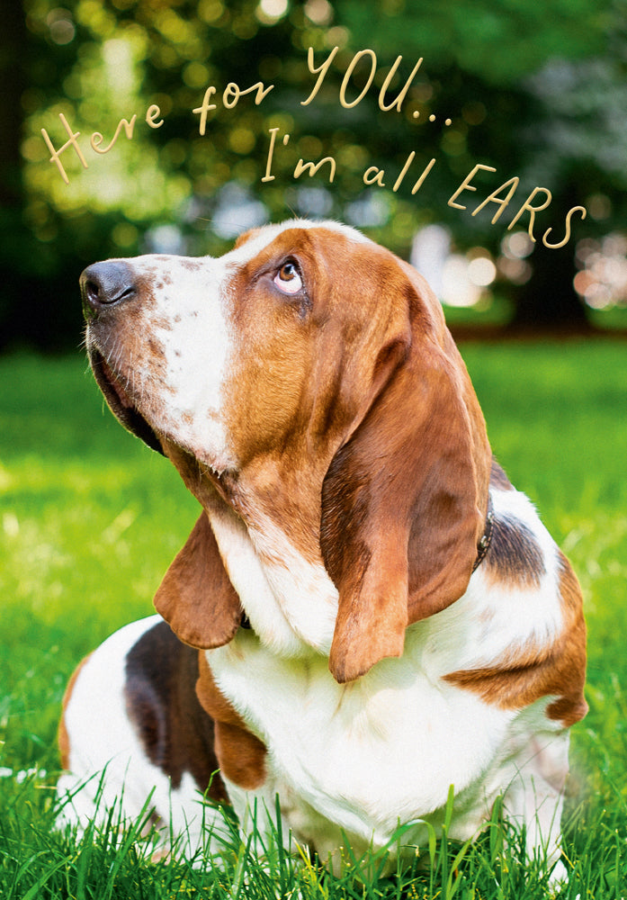 Thinking of You Thoughtful Bassett Hound