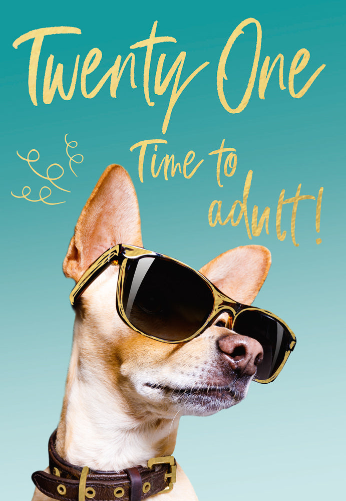 Twenty-One - Time to adult