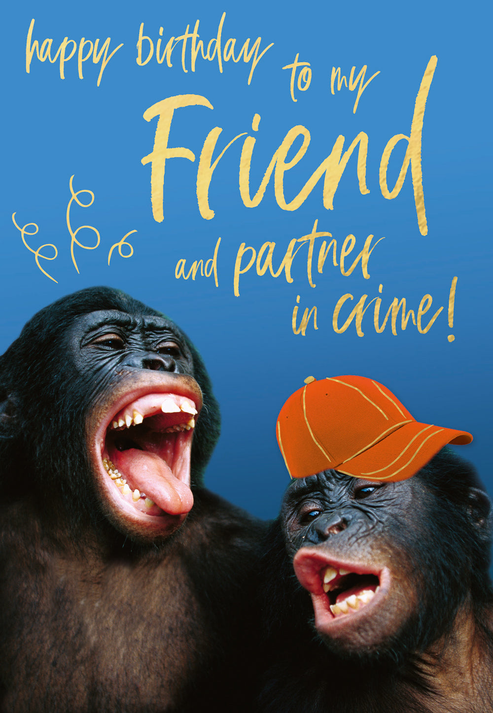 Friend - Partner in Crime