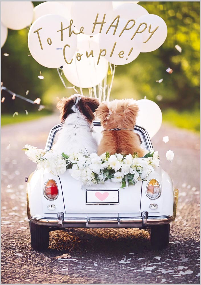 Wedding To The Happy Couple Dogs in Car