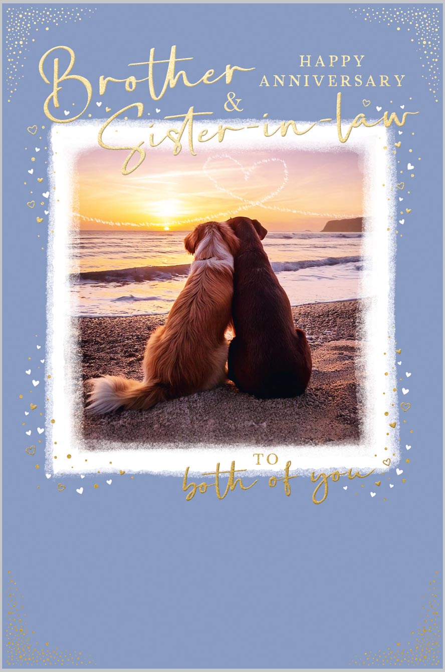 Brother & Sister-in-Law Anniversary Sunset Do