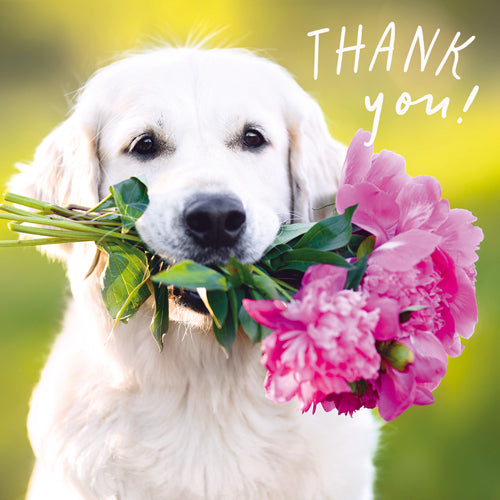 Thank You Dog Holding Flowers