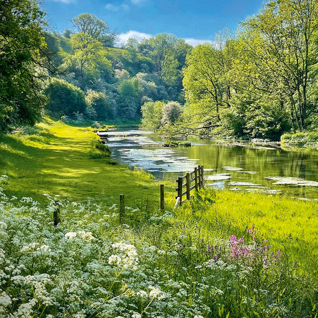 River Lathkill Lathkill Dale The Peak District