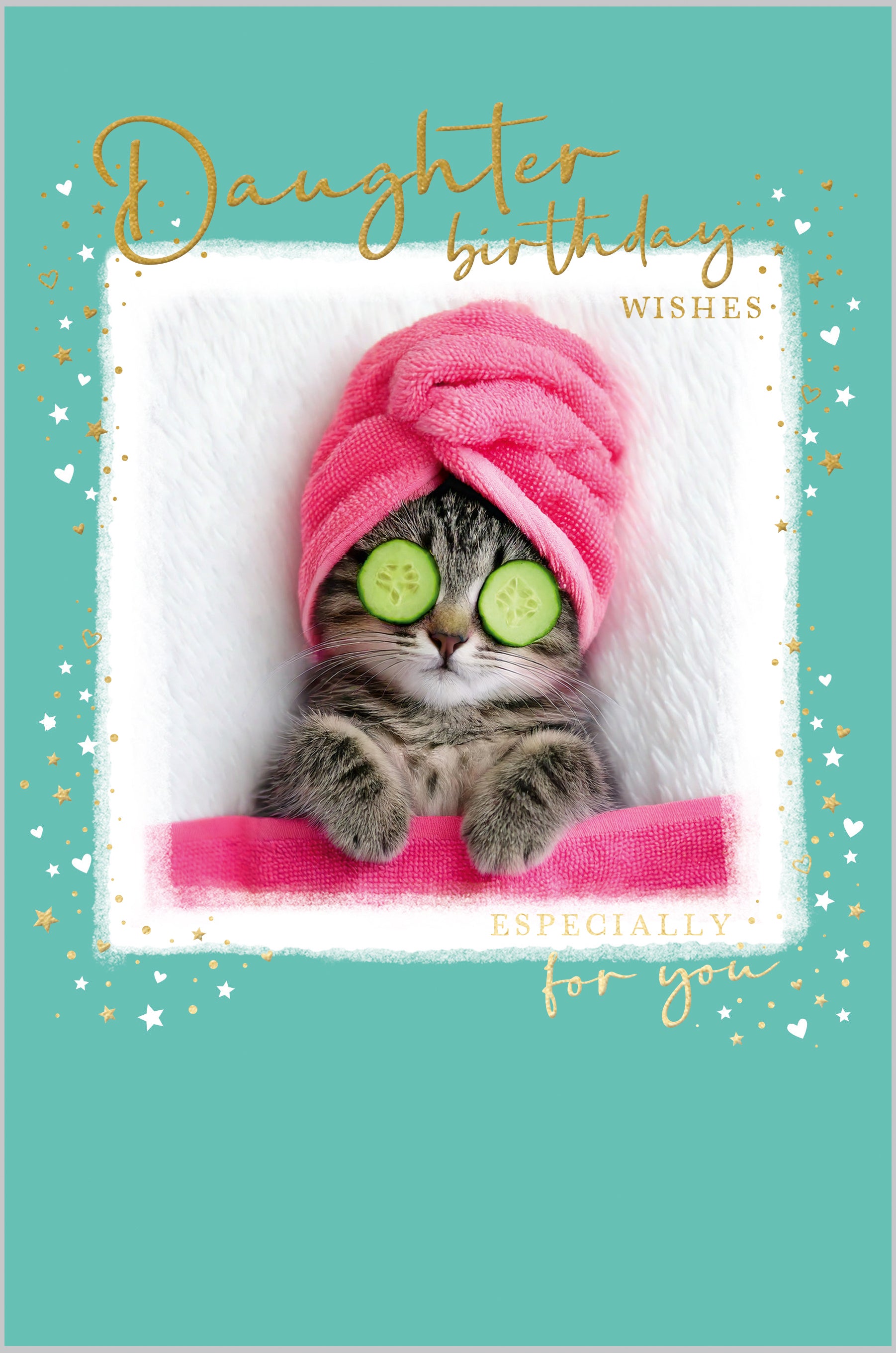 Daughter Pampered Cat