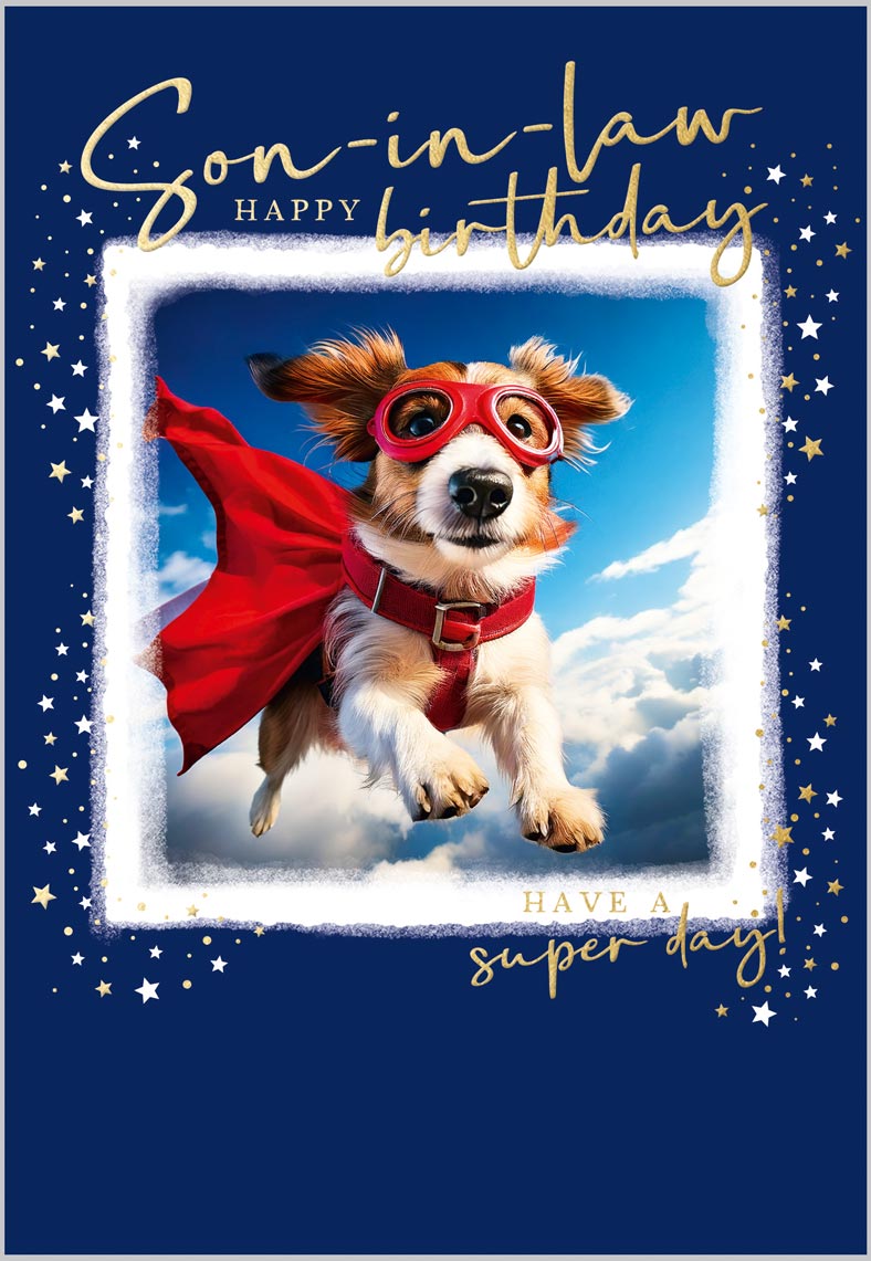 Son-in-Law Super Birthday Dog