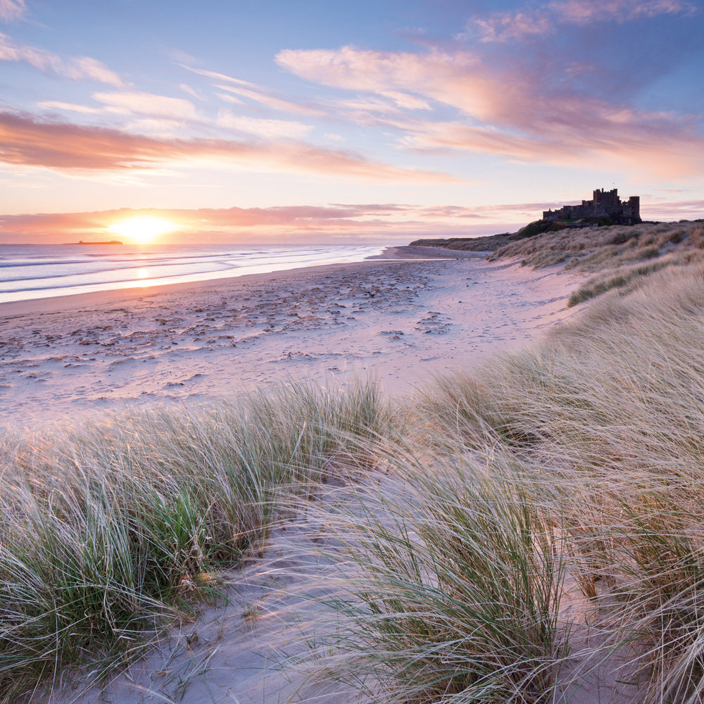 Bamburgh Beachand Castle Northumberland