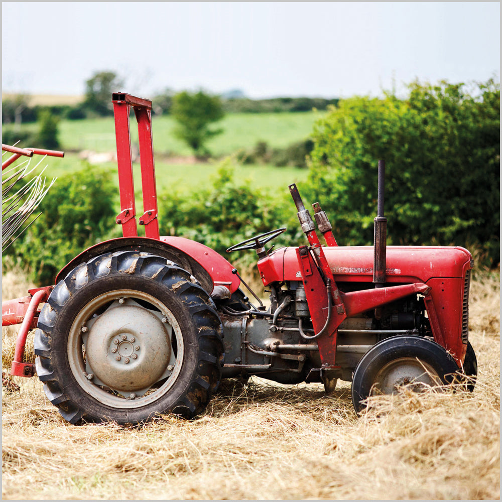 Vintage MasseyFerguson Tractor