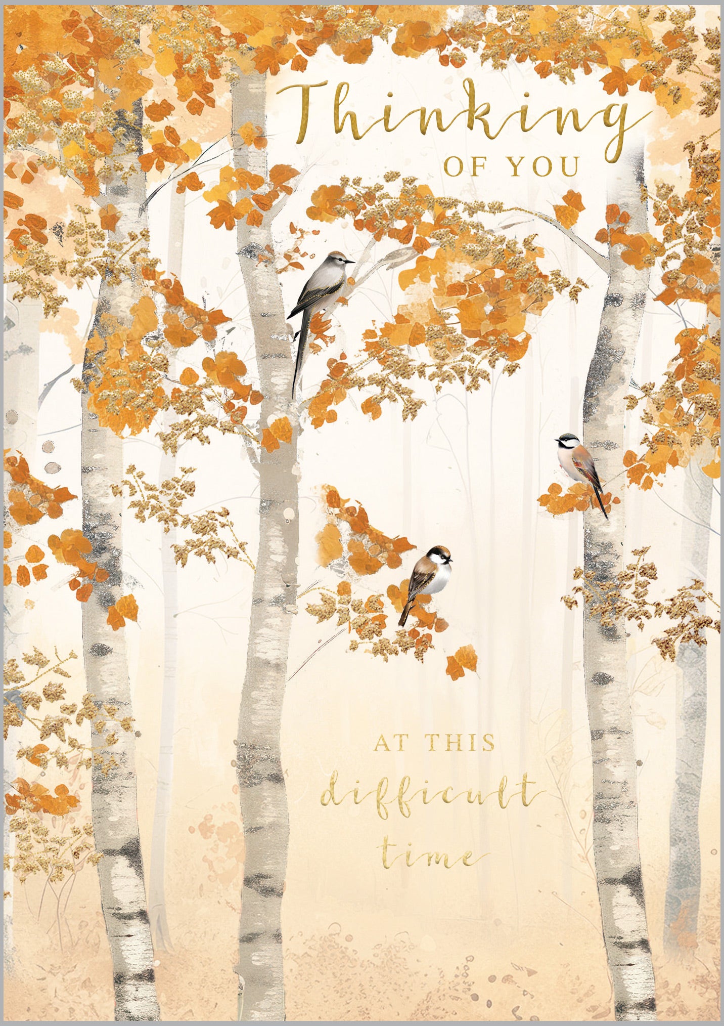 Thinking of You Silver Birch Woodland Trees