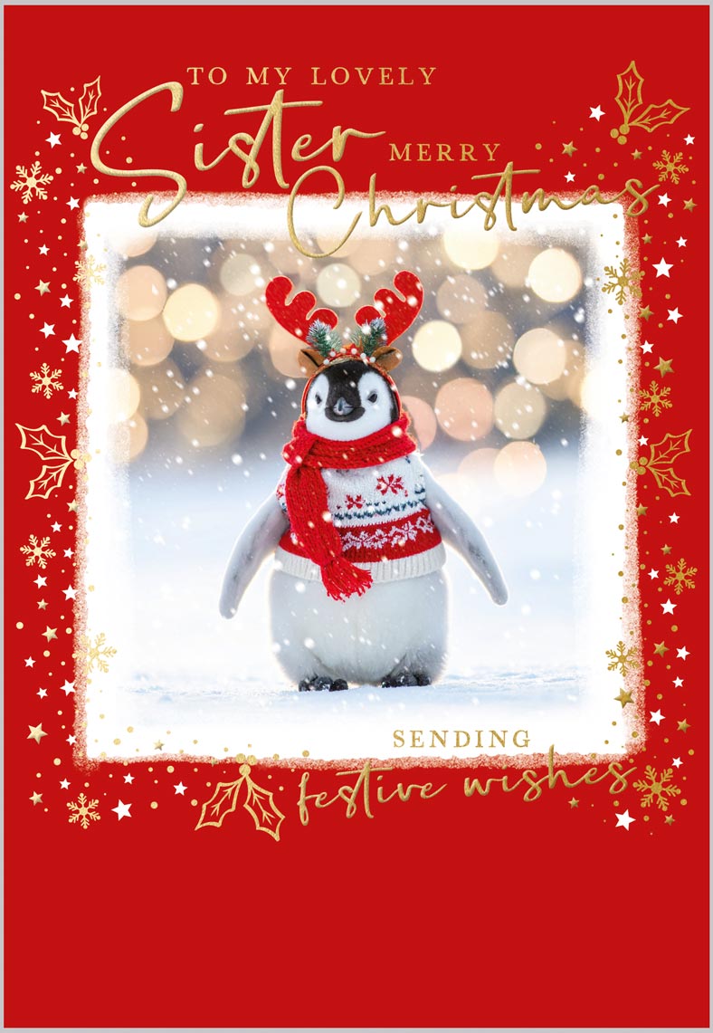Sister Festive Penguin