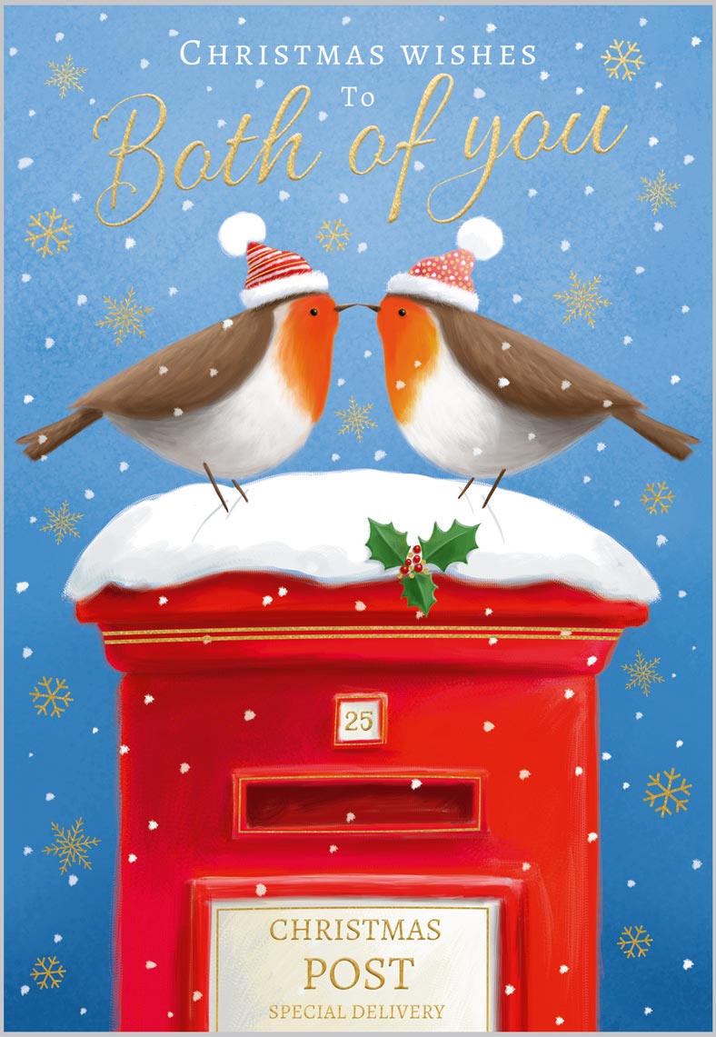 Both of You Robins on Post Box