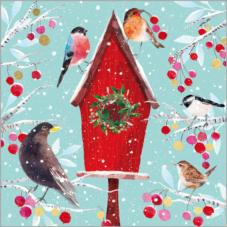 Festive Bird Box