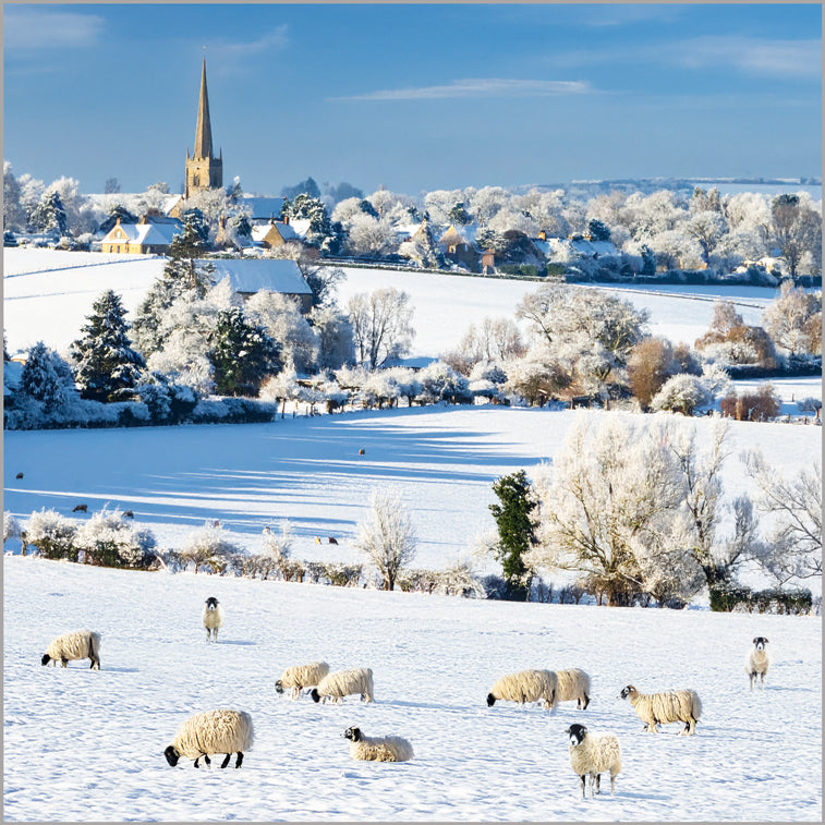 Winter Landscape
