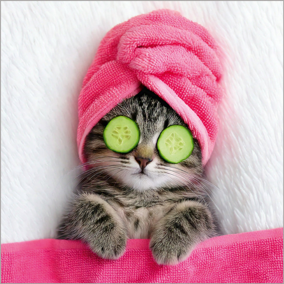Pamper Day Kitten