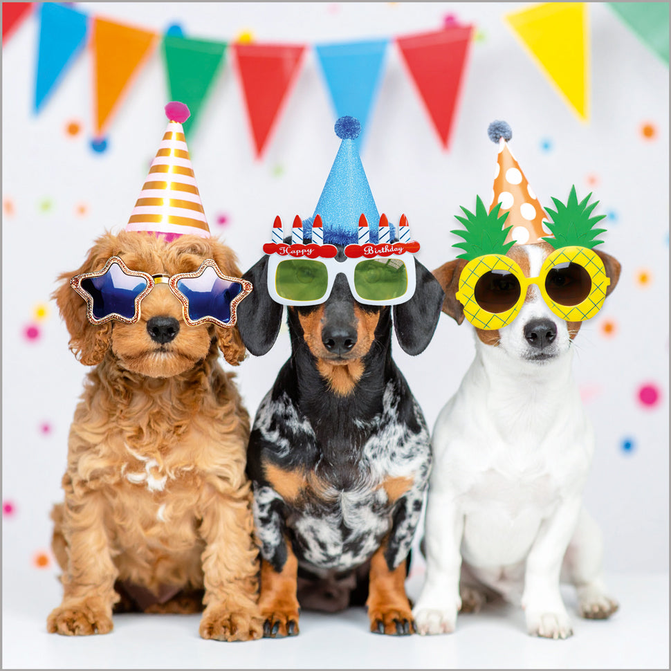 Party Time