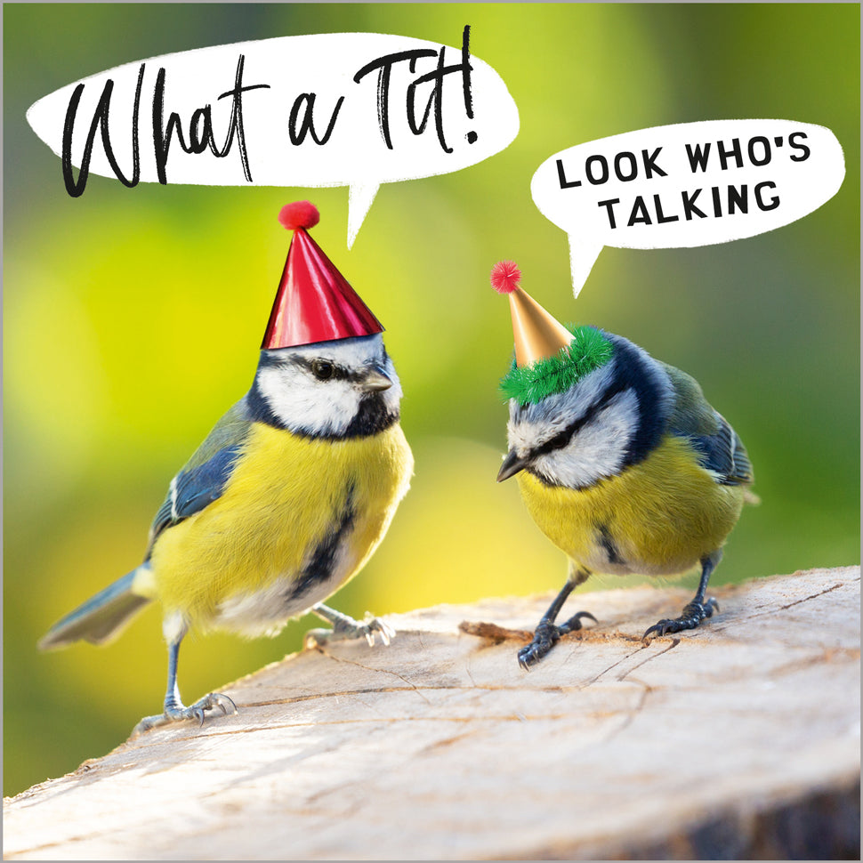 What a tit!