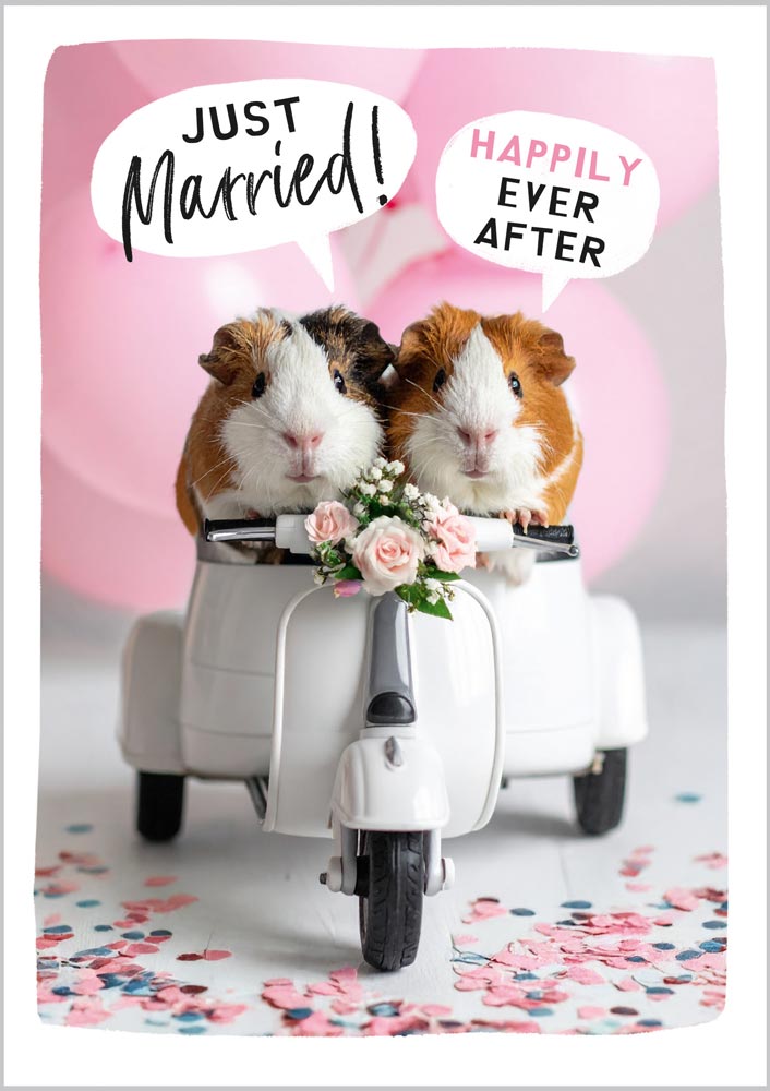 Wedding Just Married Guinea Pigs