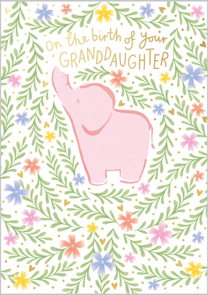 Birth of Granddaughter Elephant