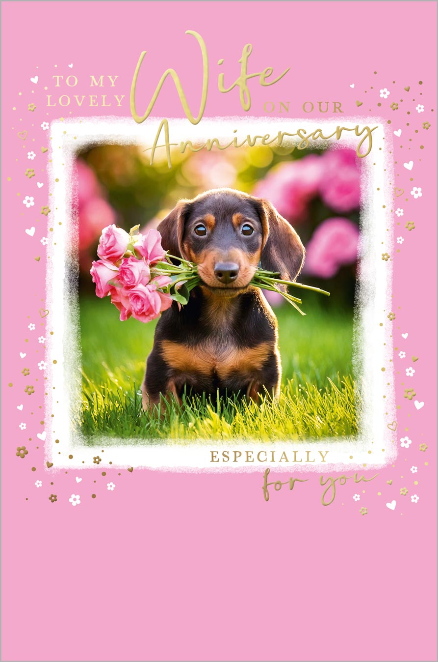 Wife Anniversary Dachshund Puppy and Flower