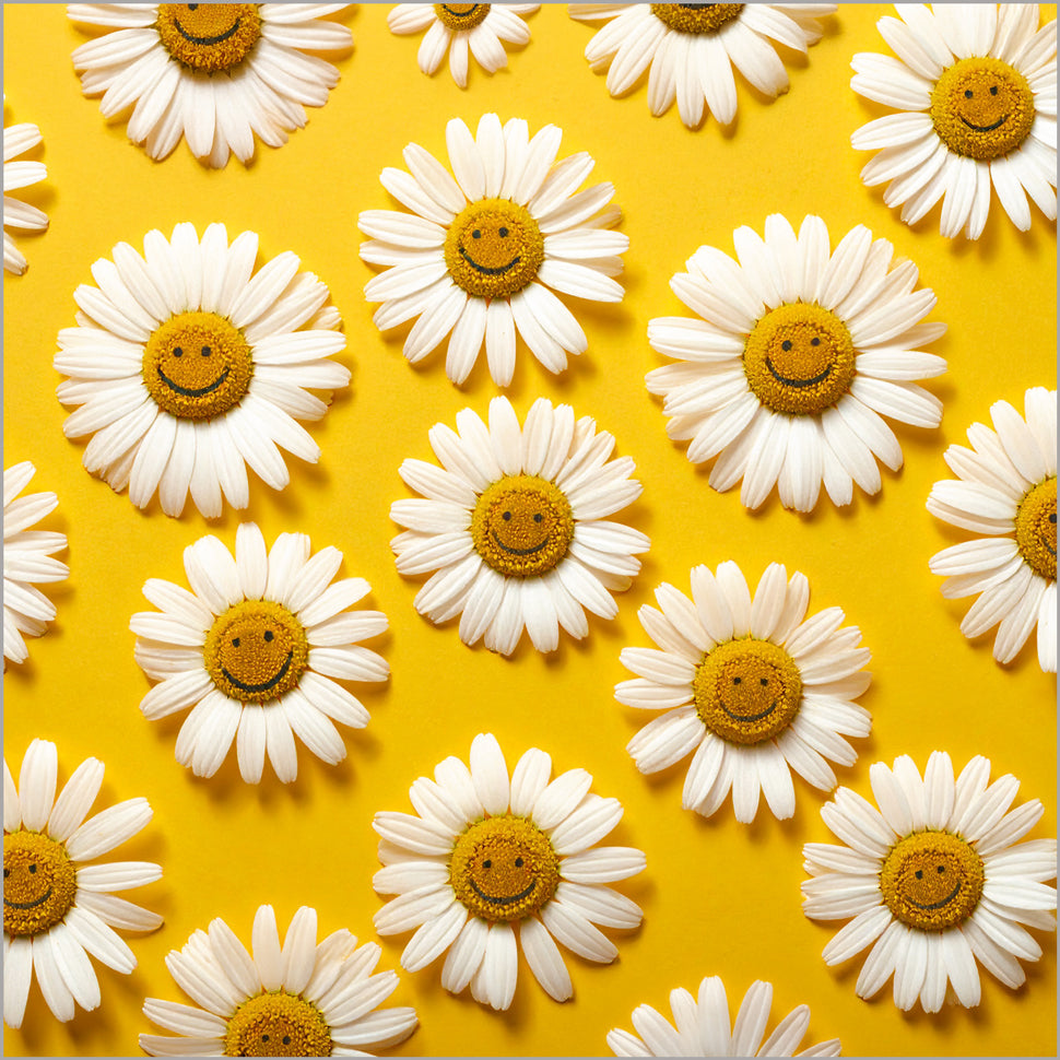 Happy Daisies