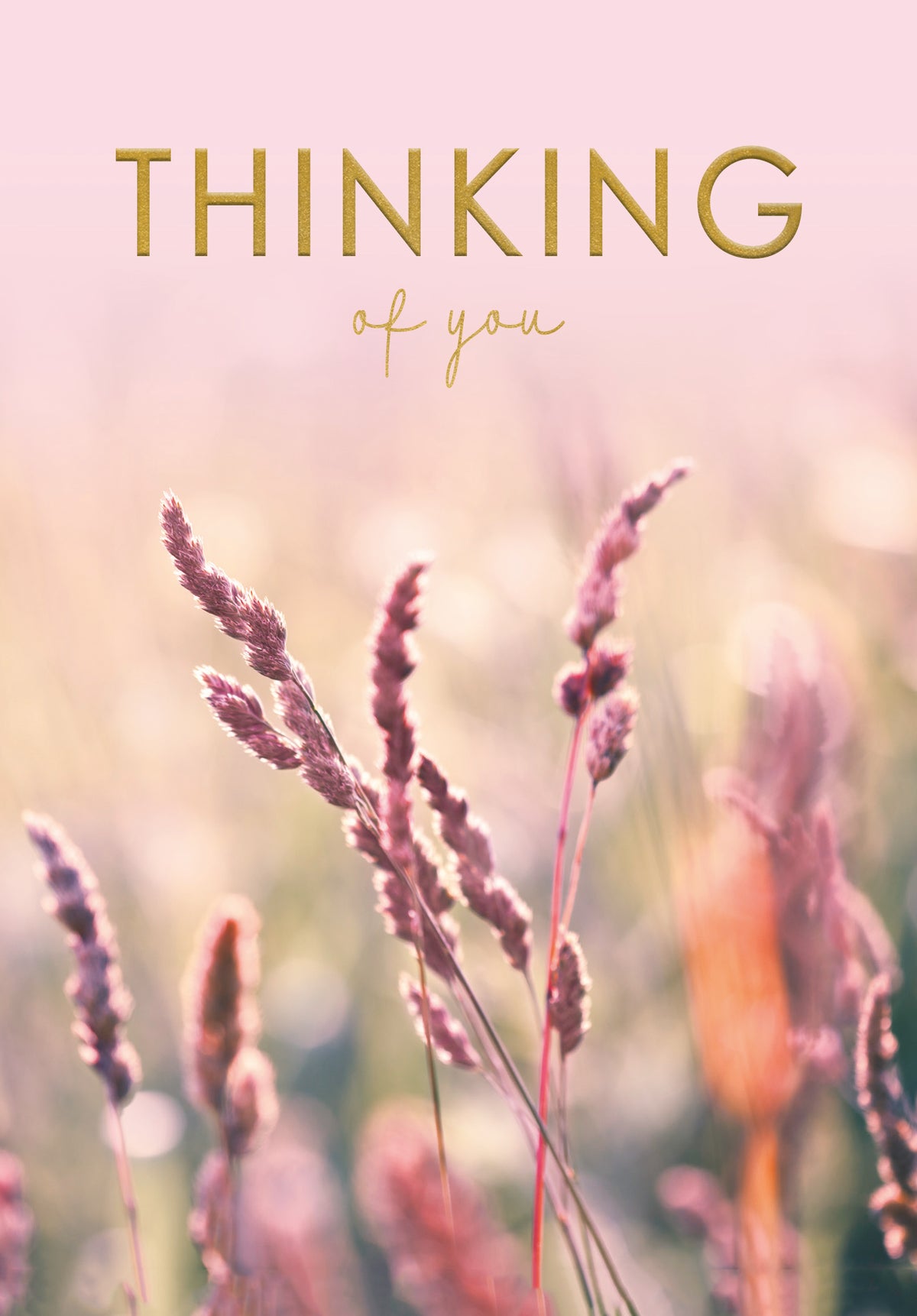 Thinking of You Card | Thinking of You - Meadow Grasses