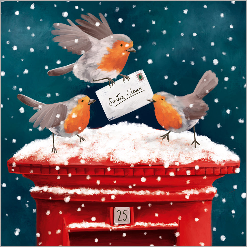 Festive Robins - 24 Christmas Cards, 3 Designs