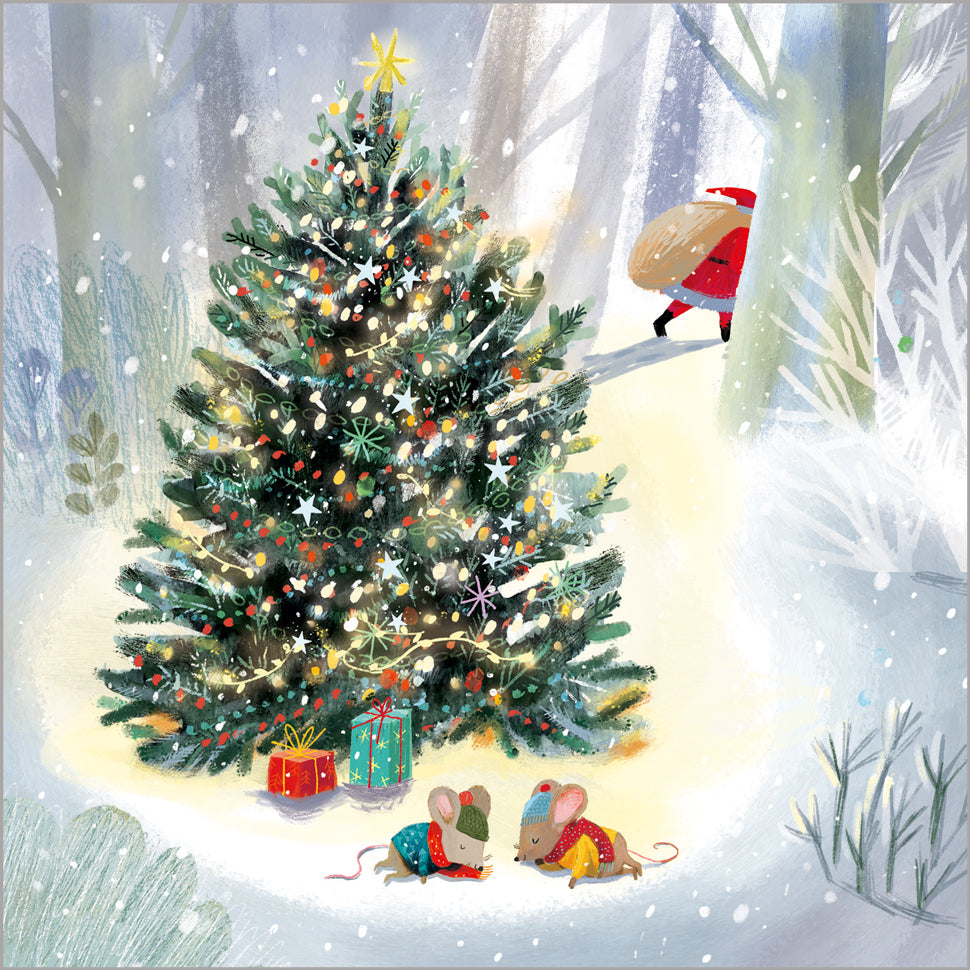 Festive Robins - 24 Christmas Cards, 3 Designs