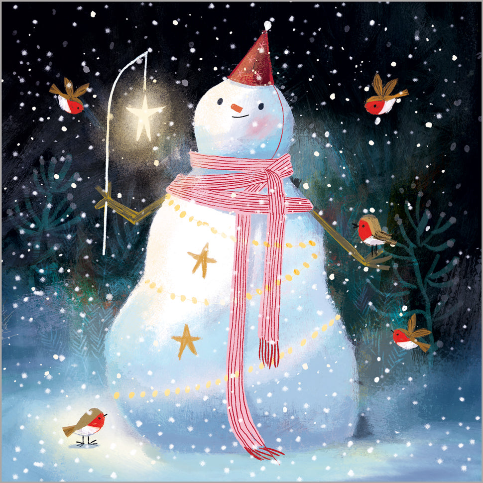 Festive Robins - 24 Christmas Cards, 3 Designs
