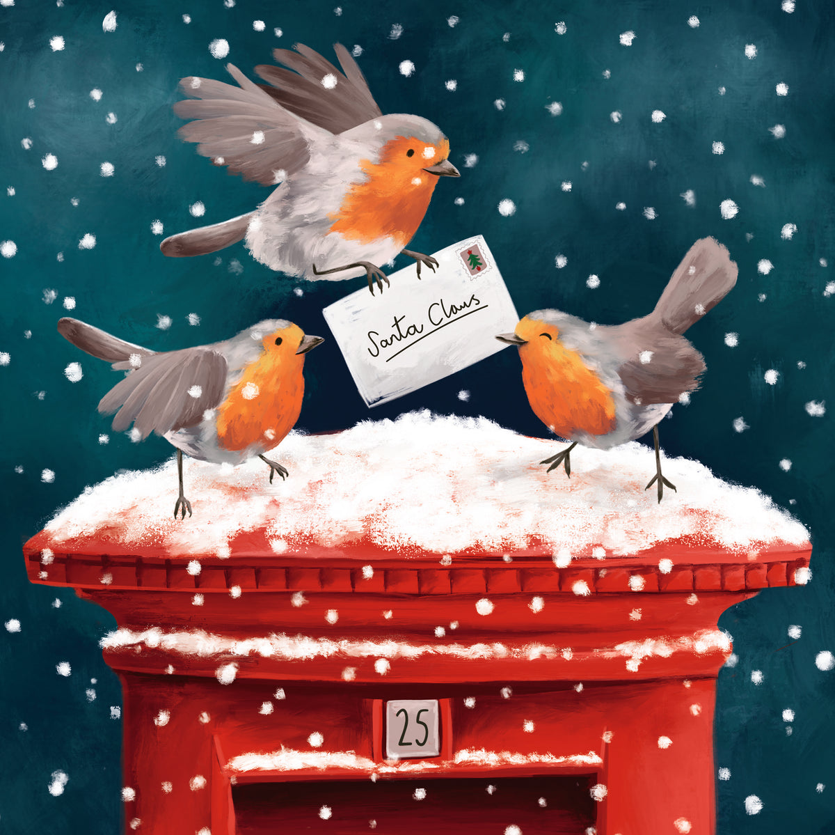 Winter Robins | 12 Christmas Cards, 2 Designs