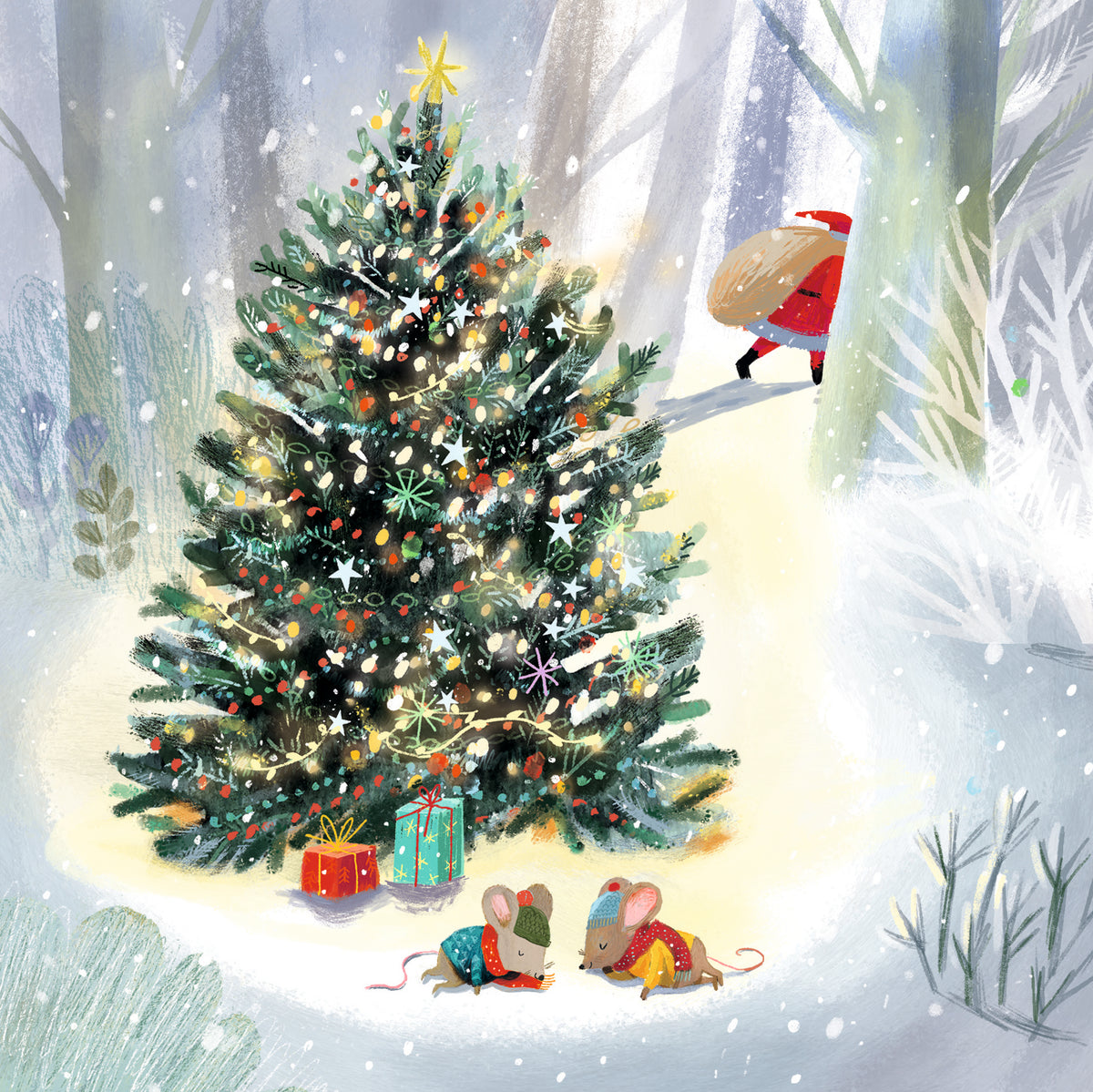 Winter Robins | 12 Christmas Cards, 2 Designs