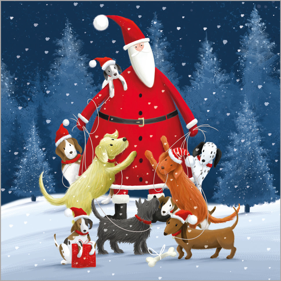 Festive Father Christmas - 24 Christmas Cards, 3 Designs