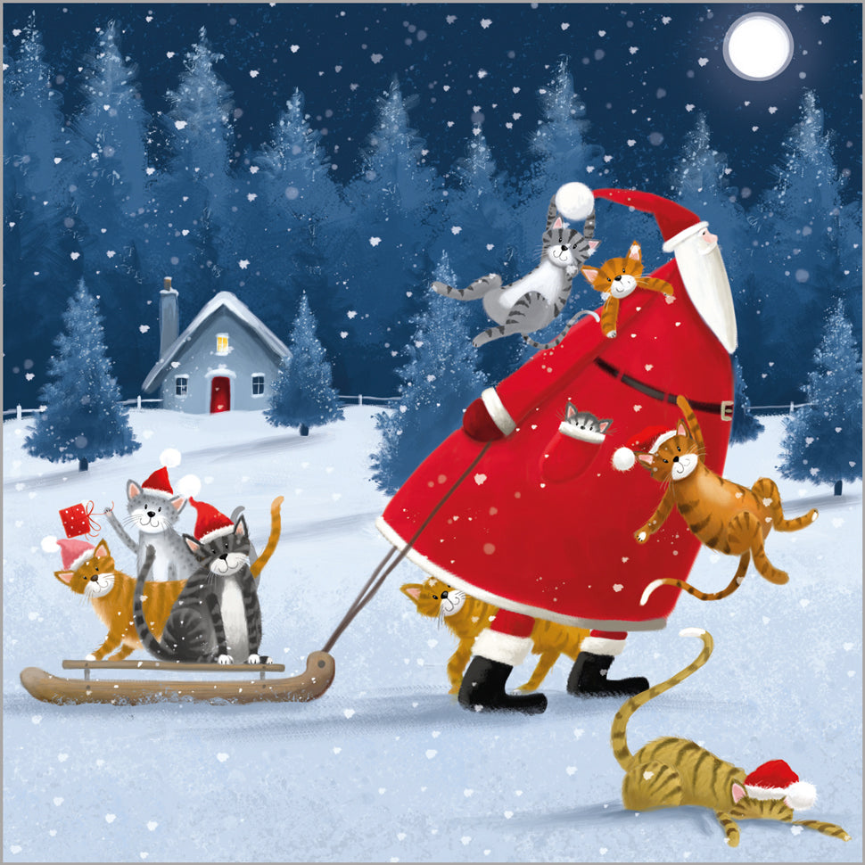 Festive Father Christmas - 24 Christmas Cards, 3 Designs