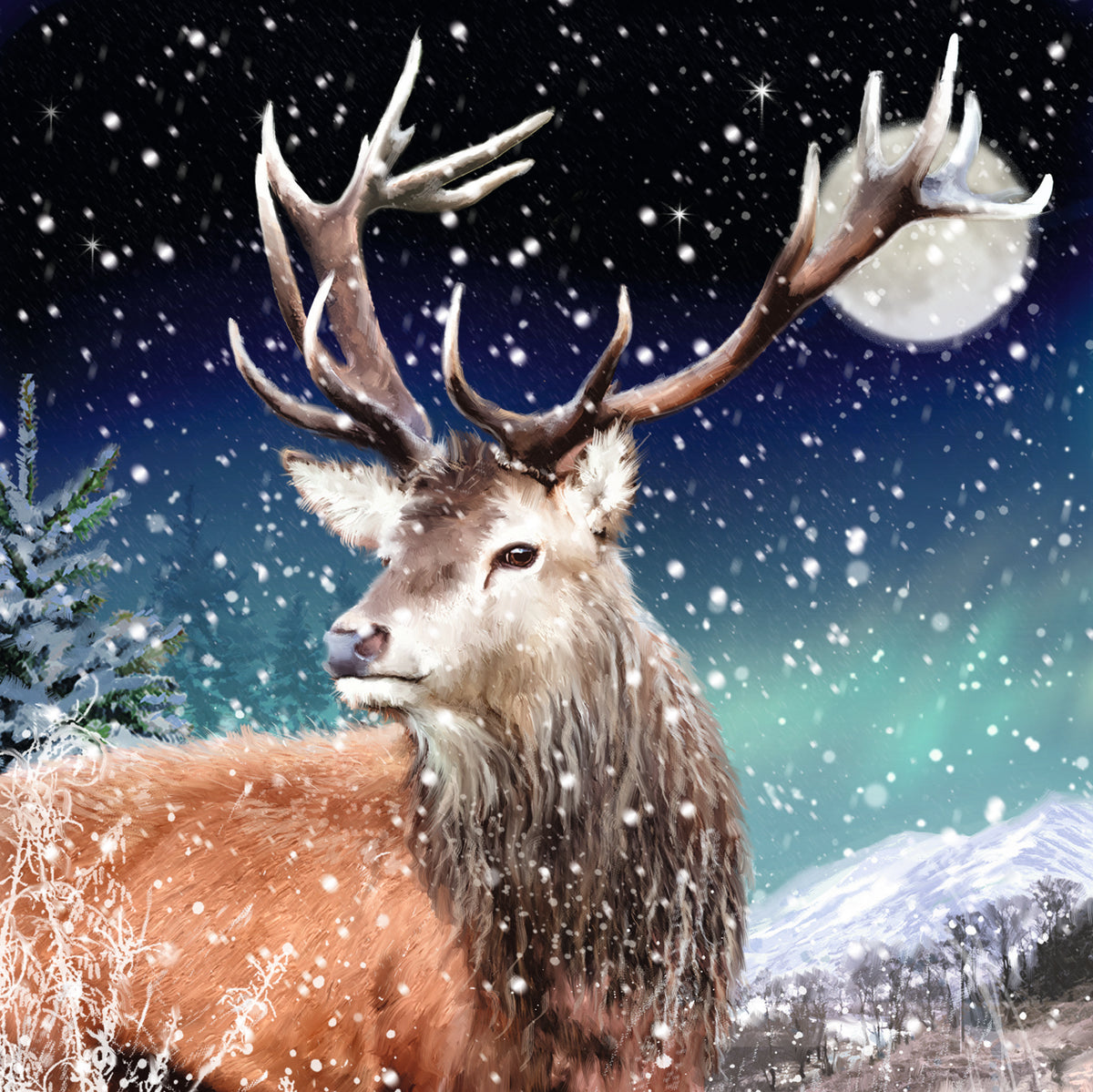 Woodland Wildlife Bumper Box
