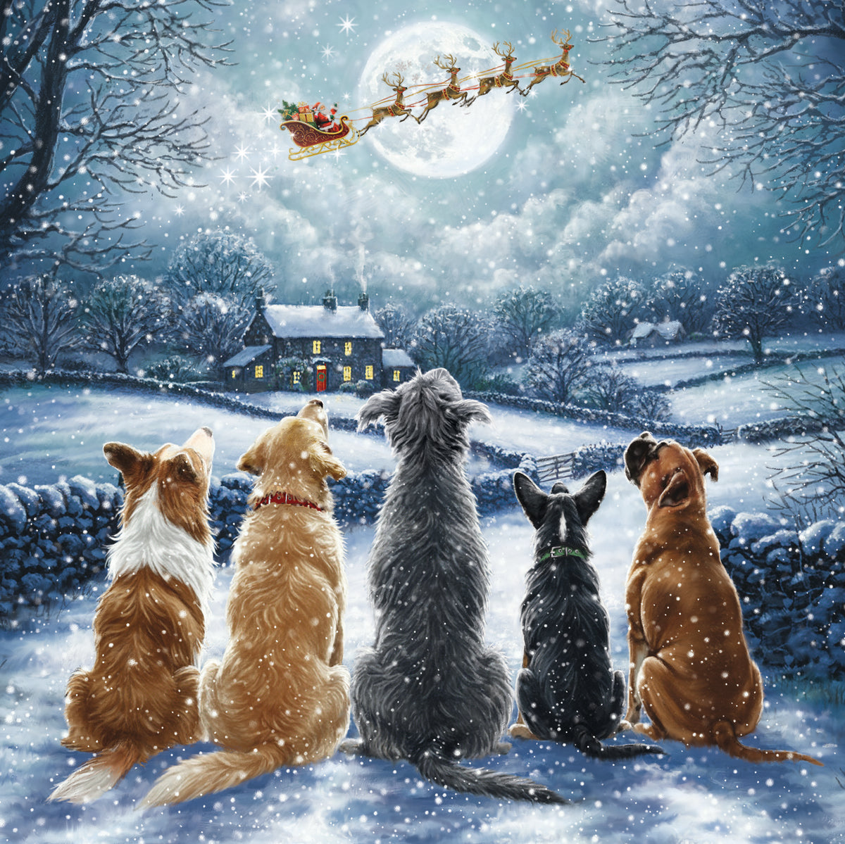 Festive Dogs | 12 Christmas Cards, 2 Designs