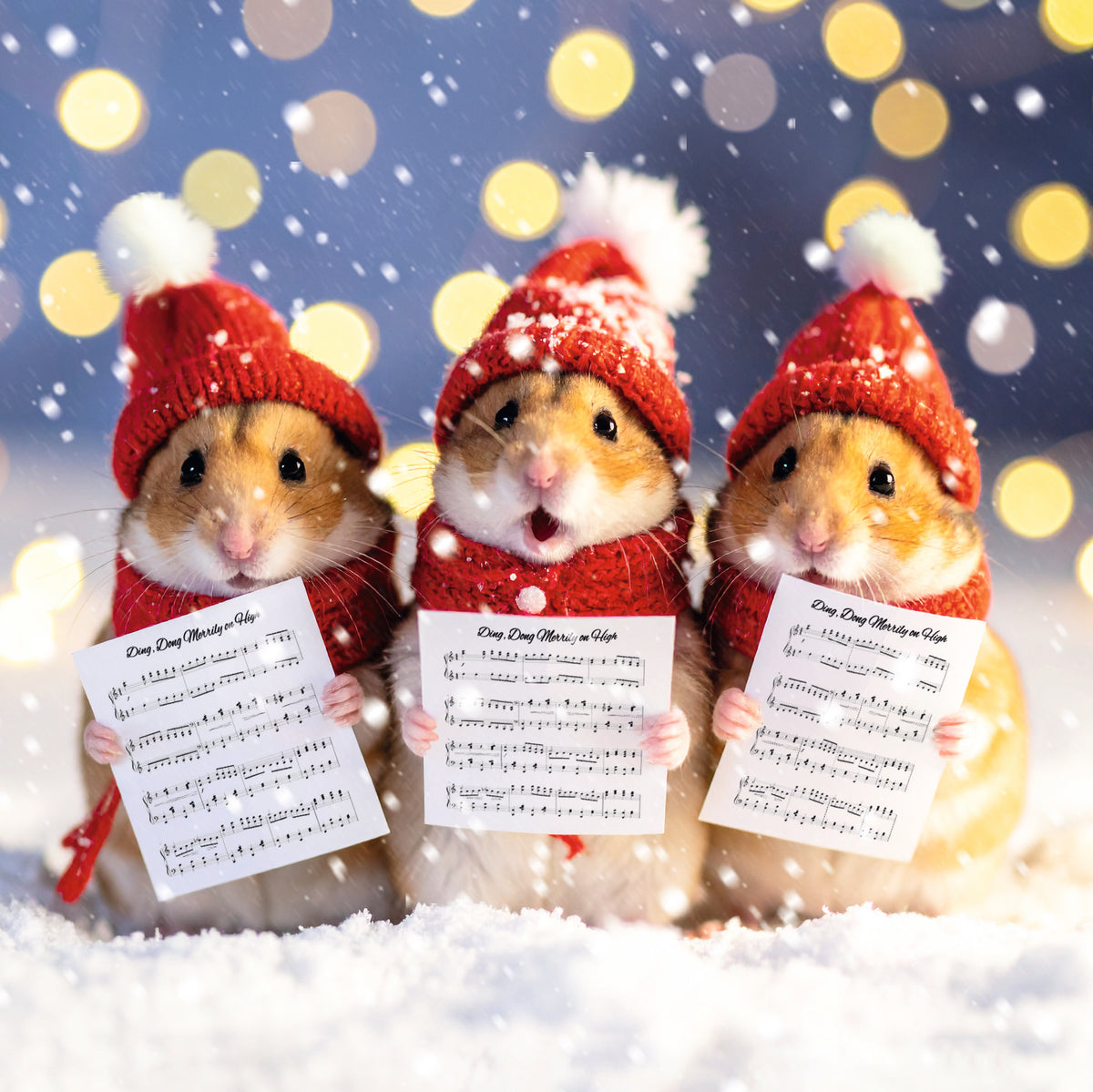 Fun Festive Animals | 12 Christmas Cards, 2 Designs