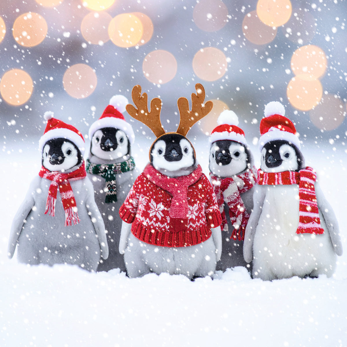 Polar Animals | 12 Christmas Cards, 2 Designs