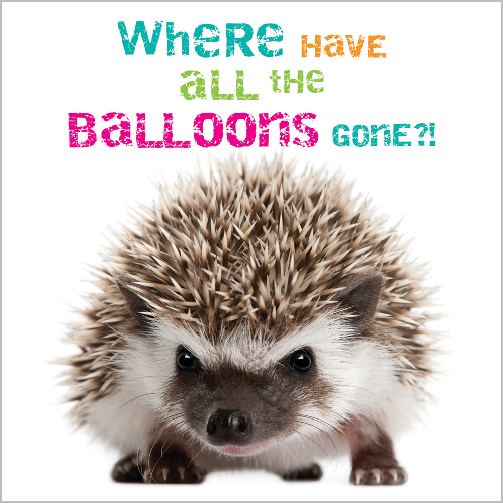 Four-toed Hedgehog
