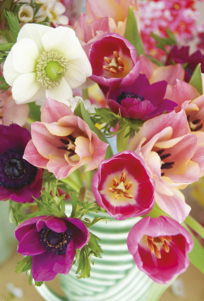 Close-up Spring Flowers